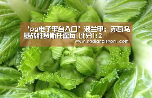 pg免费模拟器官网