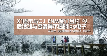 pg免费模拟器官网