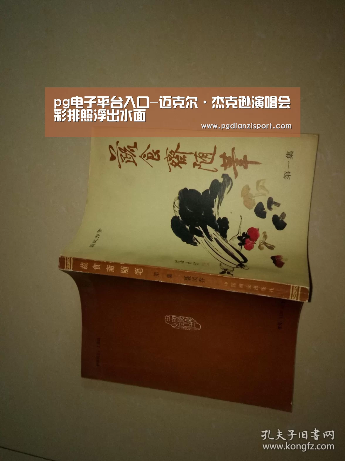 pg免费模拟器官网