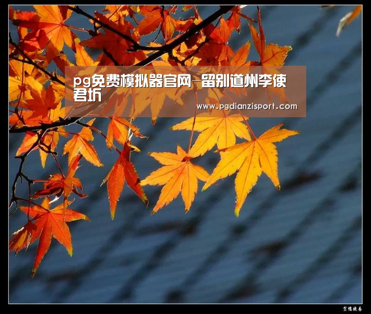 pg免费模拟器官网