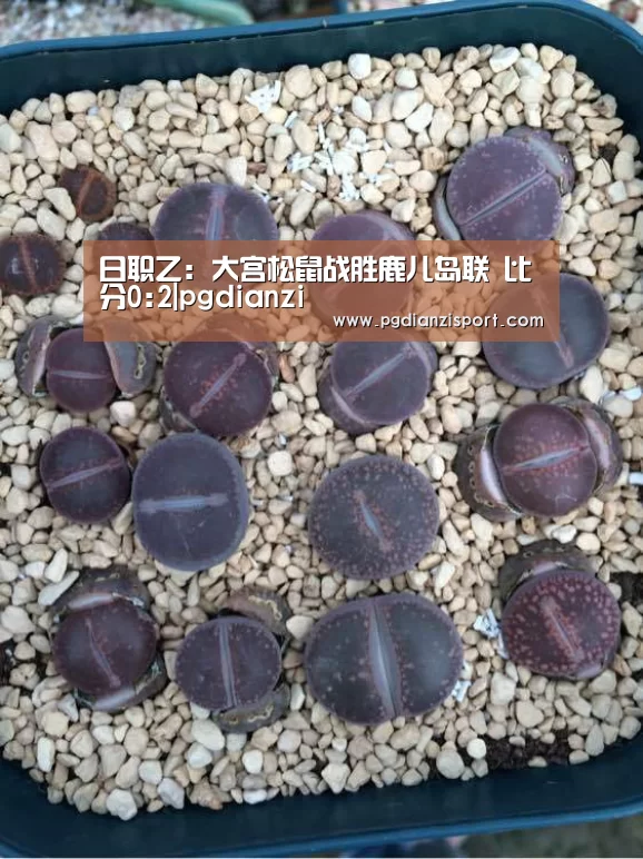 日职乙: 大宫松鼠战胜鹿儿岛联 比分0:2|pgdianzi(图1) pg免费模拟器官网
