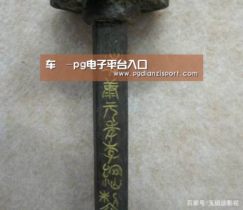 车舝-pg电子平台入口(图1)