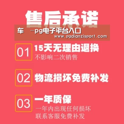 pg电子平台入口